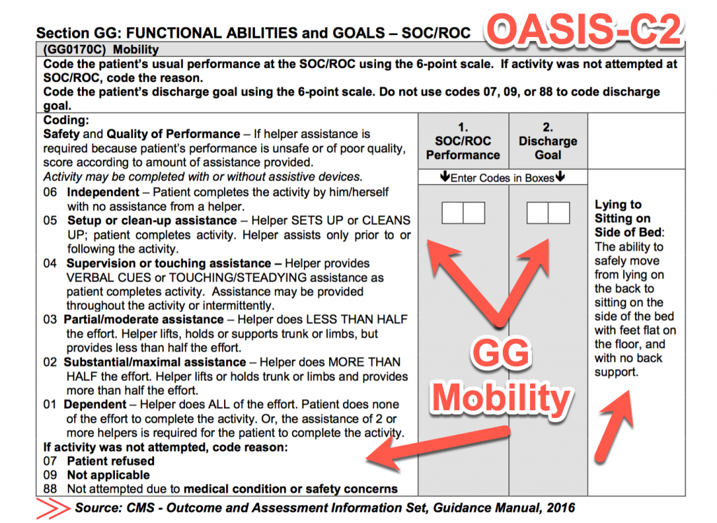 OASIS C2 GG Functional Ability